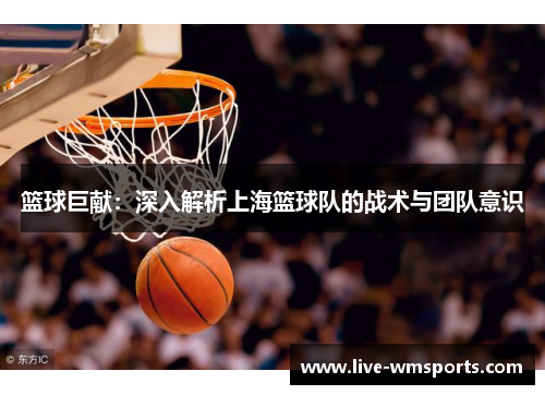 篮球巨献：深入解析上海篮球队的战术与团队意识