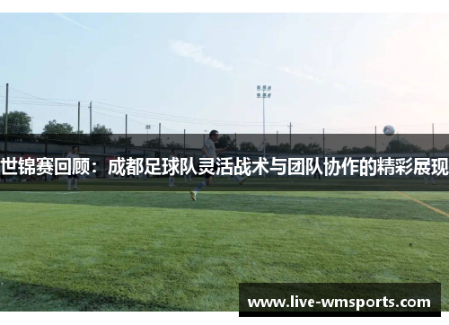 世锦赛回顾：成都足球队灵活战术与团队协作的精彩展现